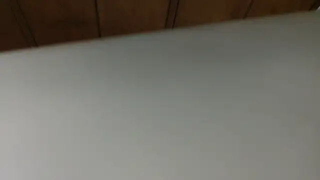 3littles webcam