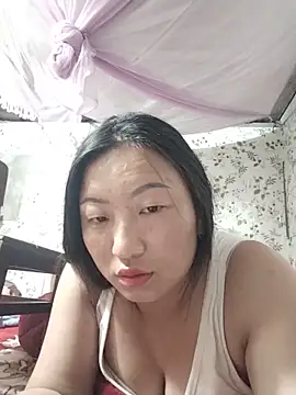 zhen-zo webcam