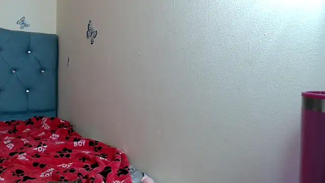 VICTORYXS1 webcam