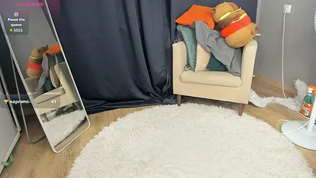 SolarFringe webcam