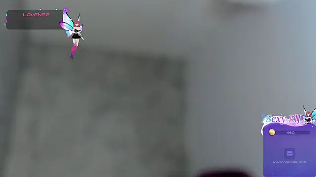 Kaidapunk webcam