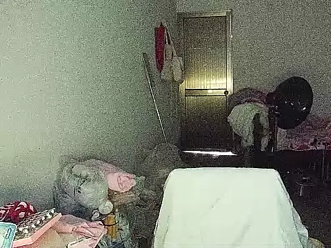RebelAura webcam