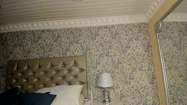 DannTaylor webcam