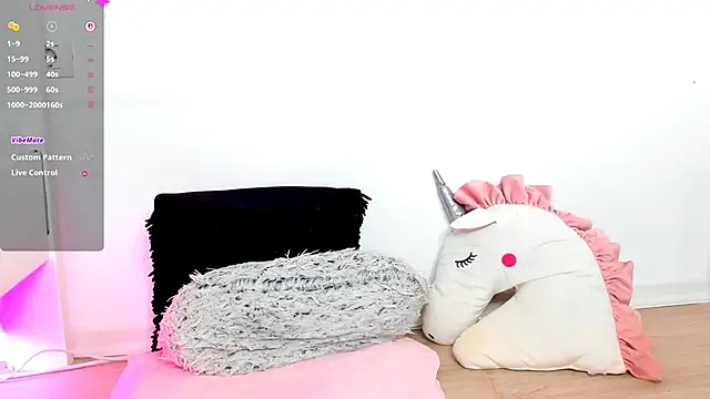 Aidasina webcam