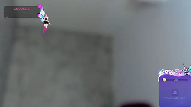 Kaidapunk webcam