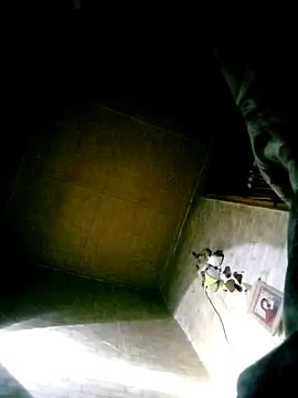 Apeesynka55211 webcam