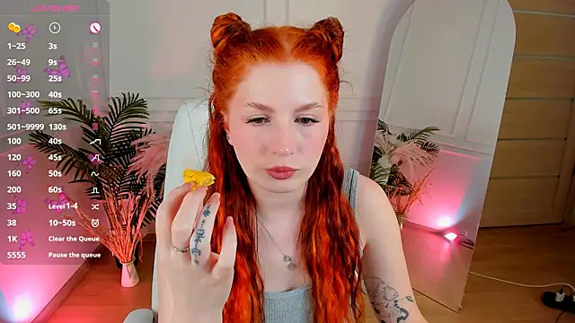 MiraBoom webcam