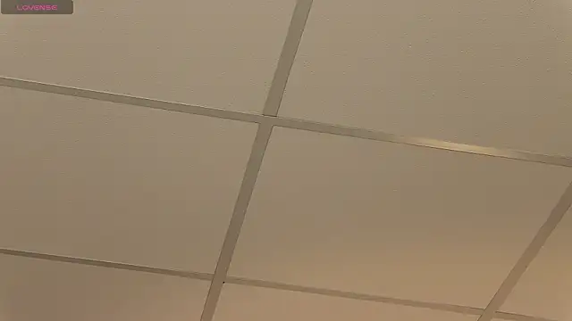 StepsisCeline webcam