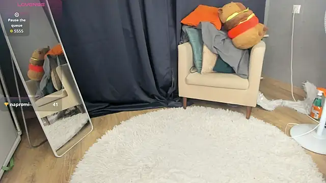 SolarFringe webcam