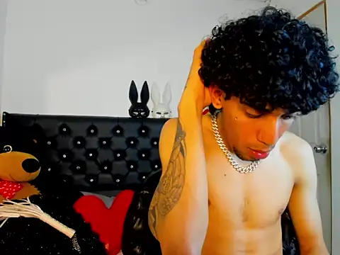 Ryder-Stone webcam