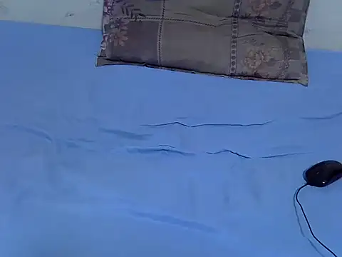 drowllie webcam
