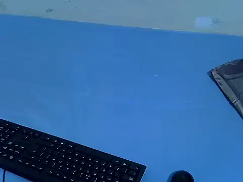 drowllie webcam