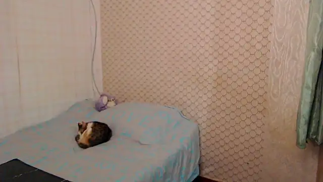 Janiffer_MiMi webcam