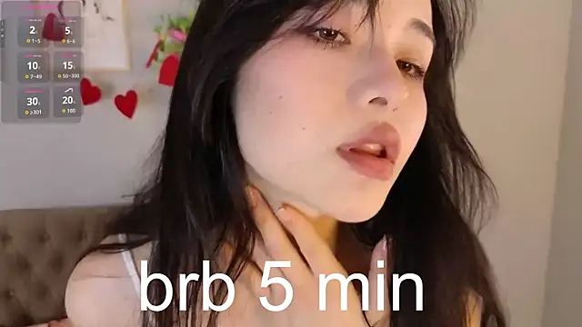 Noiry_Vuvez webcam