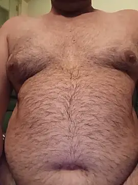 vik7419 webcam