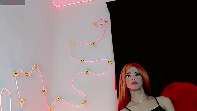 everlin_01 webcam