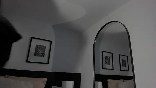 vi_anaya webcam