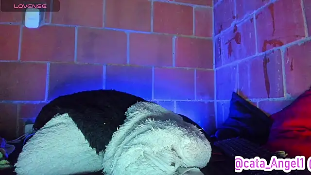 Cata-angel webcam