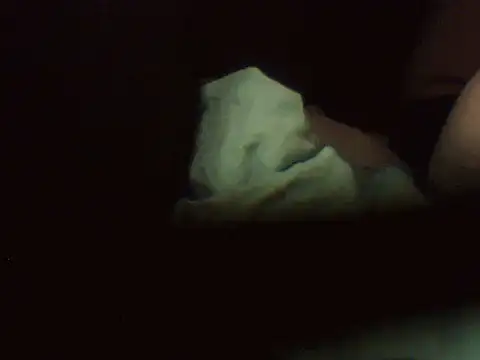 pietje1991 webcam