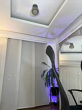 nicollett webcam