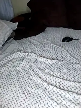 SteedyGee live sex cam