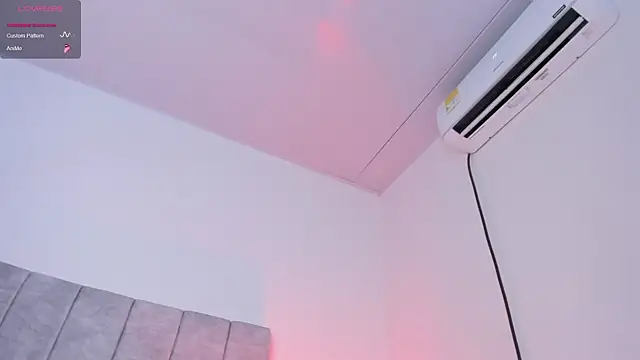 fuckyou_alexa webcam