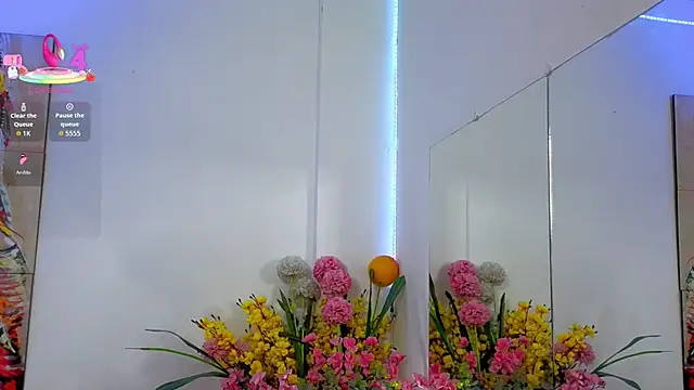 LittleSky__ webcam
