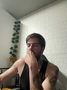 fire-vex webcam