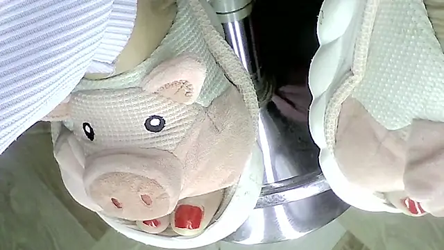shannon_kinne_ webcam