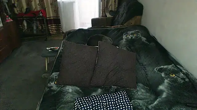 sex2 webcam