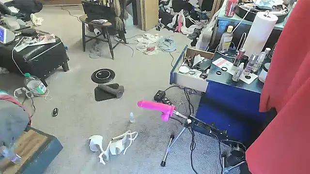 sissytrapdolly24 webcam