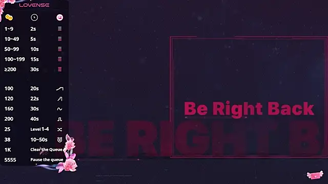 _flipped_ webcam