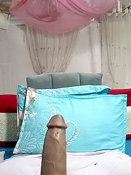 MilkShow webcam