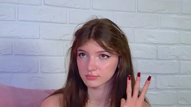 SophiaProve webcam