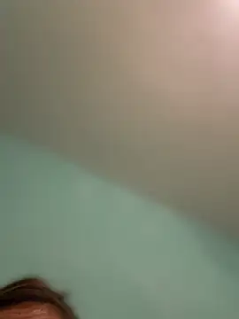 camelia3 webcam