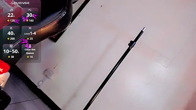 Victoria_Kastelo webcam