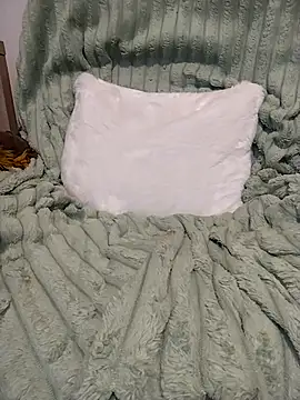 HoneySquirrel webcam
