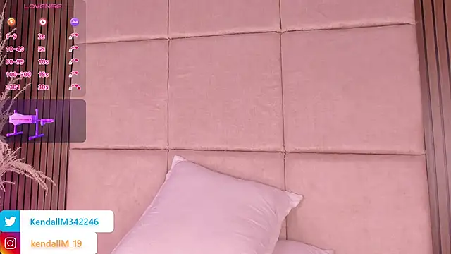 _Kendall_19 webcam