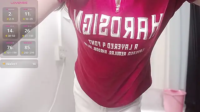 Arcyar webcam
