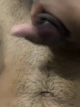 profetabr26 webcam