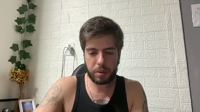 fire-vex webcam