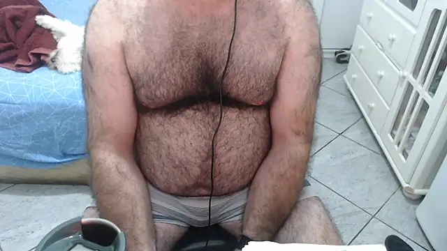 MysterBearMG webcam