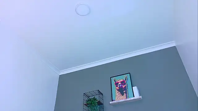 MrFox__ Live Webcam on Stripchat