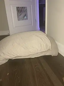 elliepixie webcam