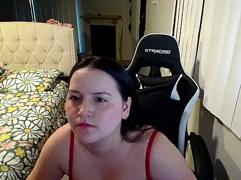 asly1 webcam