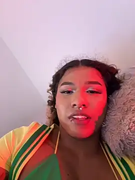 cam11_07