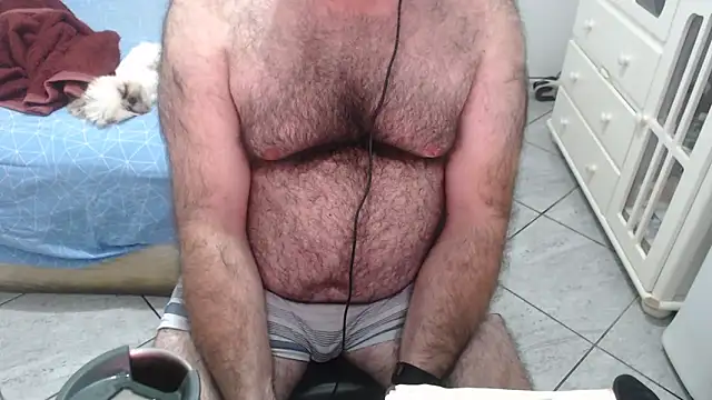 MysterBearMG webcam
