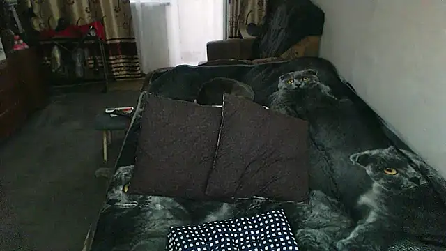 sex2 webcam