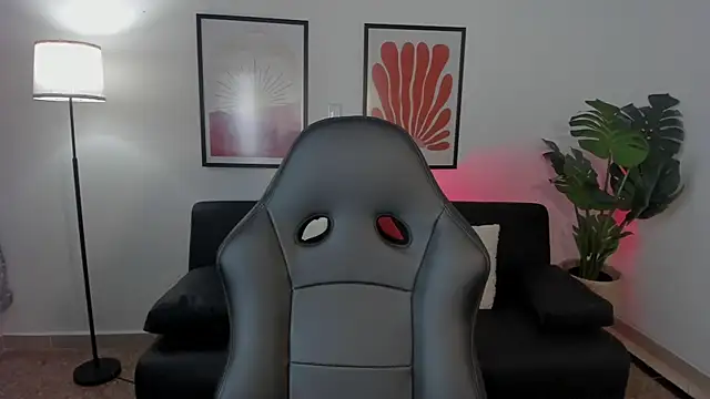 nova_silk webcam