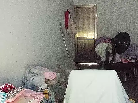 RebelAura webcam